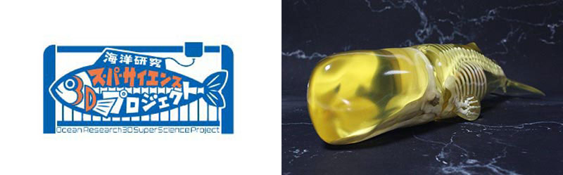 海洋研究3Dスーパーサイエンスプロジェクト