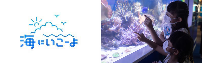 海にいこーよプロジェクト