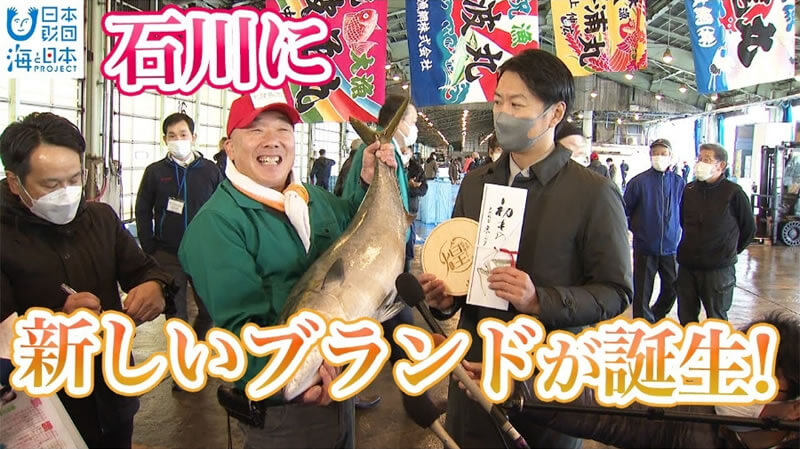 1匹400万円！石川県の新ブランド魚