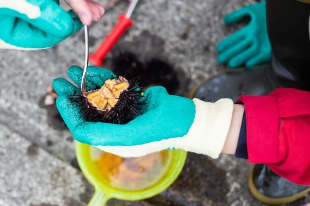 “海の幸イベント”をレポート！