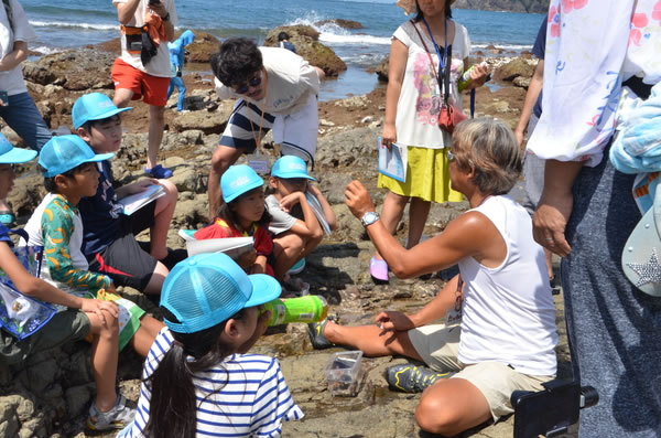 ネイチャーガイドのお仕事をしよう！＠静岡県　～海と日本PROJECT～
