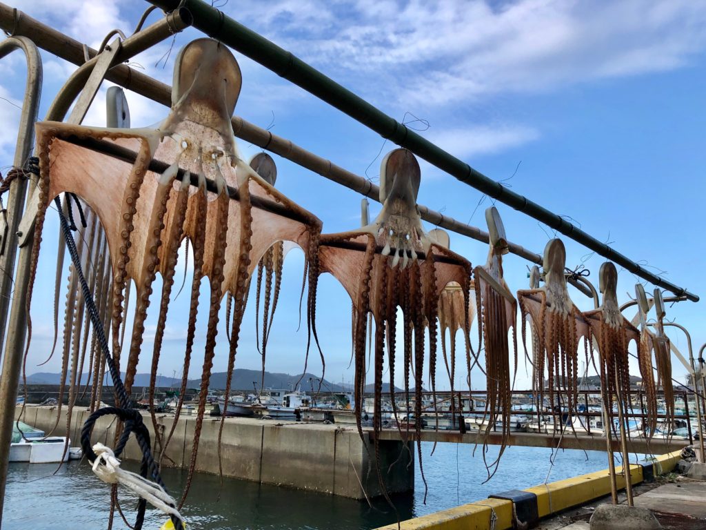 思わず旅に出掛けたくなる！？日本各地の海の幸情報をお届け