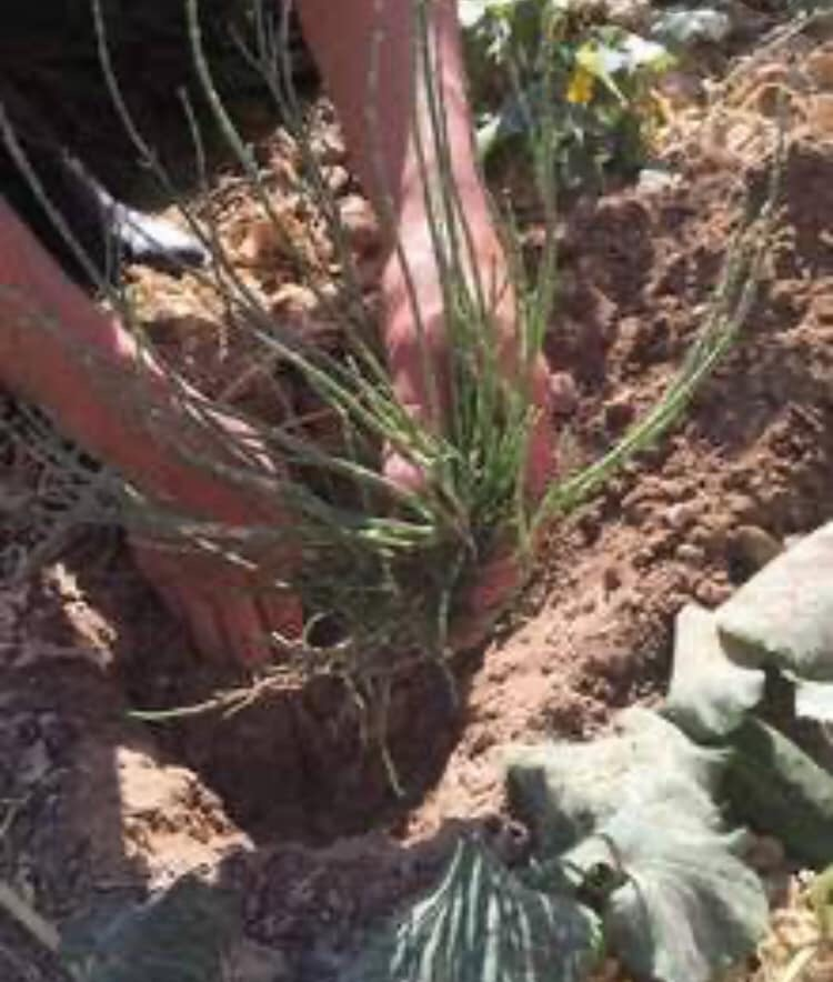 環境をめぐる社会意識　〜海と日本PROJECT〜