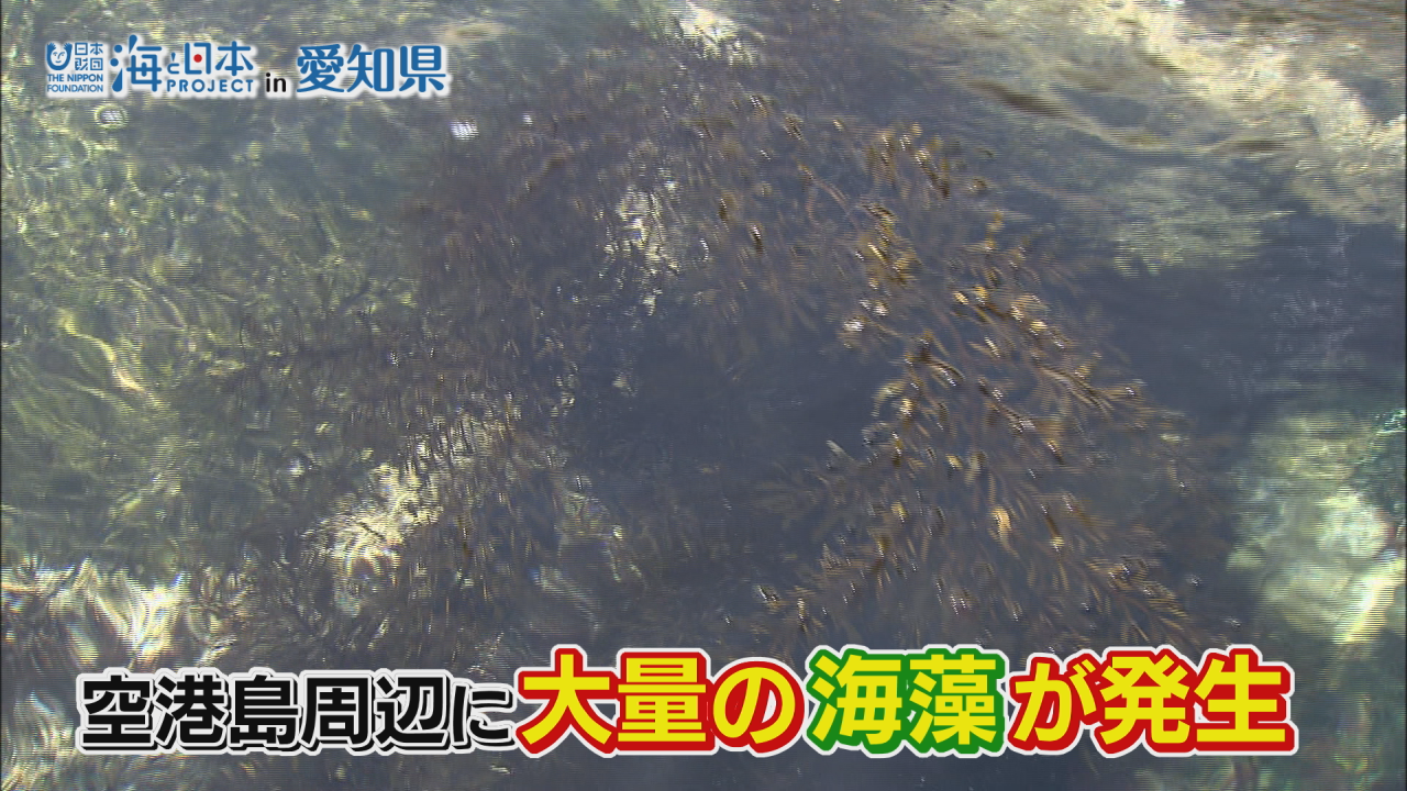 廃棄処分から一転、新たな価値をつけて商品化！ 海の資源をムダなく有効活用