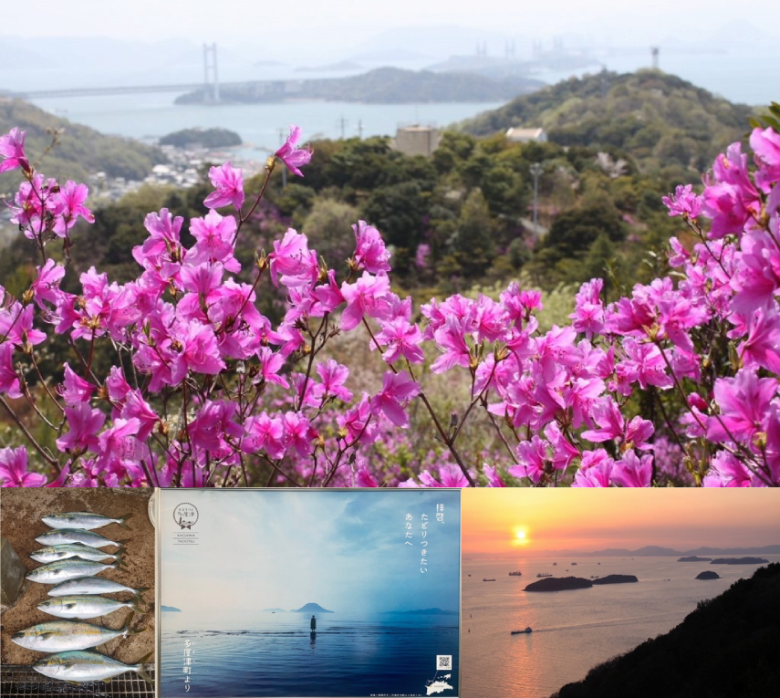 心ときめく海へ！春の海の情報を全国各地からお届けしています