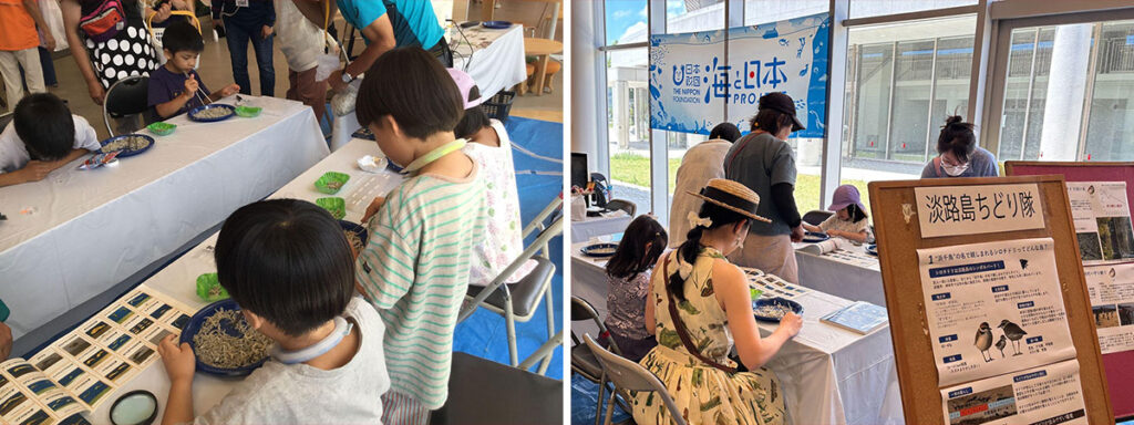 「淡フェス2025」出展。シロチドリの展示とチリメンモンスターを探そうワークショップを開催！